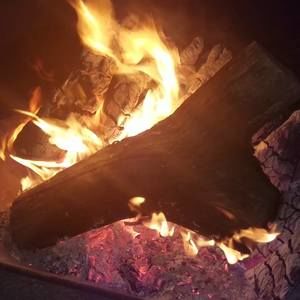 Meet your Posher, Roberto